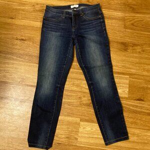 STITCH FIX Lila Ryan Liza Skinny Jean